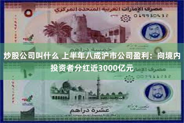 炒股公司叫什么 上半年八成沪市公司盈利：向境内投资者分红近3000亿元