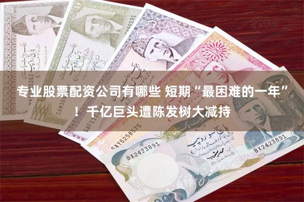 专业股票配资公司有哪些 短期“最困难的一年”！千亿巨头遭陈发树大减持