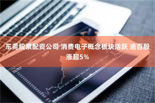 东莞股票配资公司 消费电子概念板块活跃 逾百股涨超5%