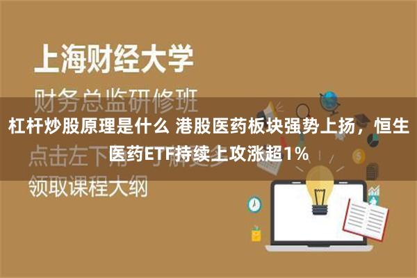 杠杆炒股原理是什么 港股医药板块强势上扬，恒生医药ETF持续上攻涨超1%