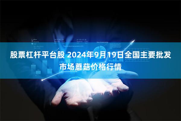 股票杠杆平台股 2024年9月19日全国主要批发市场蘑菇价格行情