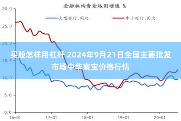买股怎样用杠杆 2024年9月21日全国主要批发市场中华蜜宝价格行情