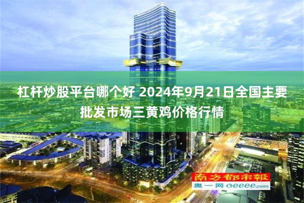 杠杆炒股平台哪个好 2024年9月21日全国主要批发市场三黄鸡价格行情