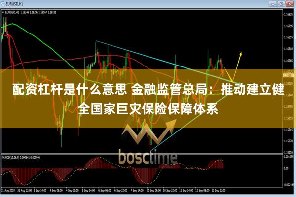 配资杠杆是什么意思 金融监管总局：推动建立健全国家巨灾保险保障体系