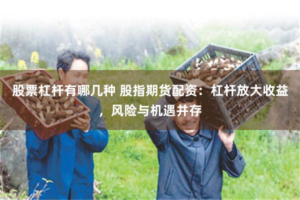 股票杠杆有哪几种 股指期货配资：杠杆放大收益，风险与机遇并存