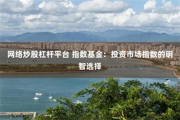 网络炒股杠杆平台 指数基金：投资市场指数的明智选择