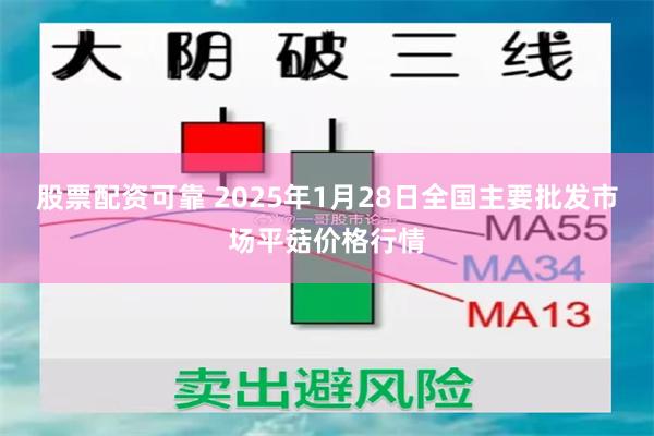 股票配资可靠 2025年1月28日全国主要批发市场平菇价格行情