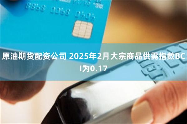 原油期货配资公司 2025年2月大宗商品供需指数BCI为0.17