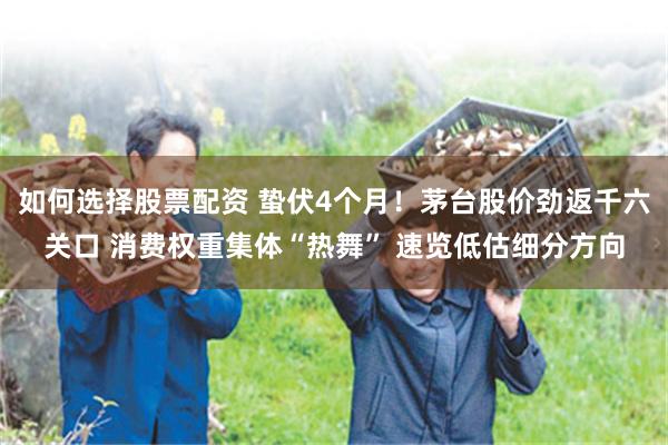如何选择股票配资 蛰伏4个月！茅台股价劲返千六关口 消费权重集体“热舞” 速览低估细分方向