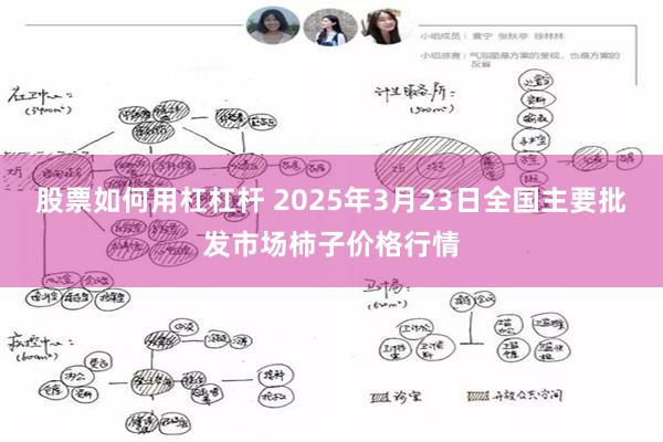 股票如何用杠杠杆 2025年3月23日全国主要批发市场柿子价格行情