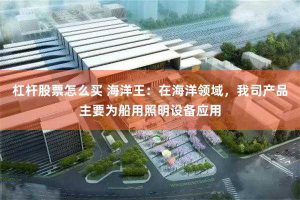 杠杆股票怎么买 海洋王：在海洋领域，我司产品主要为船用照明设备应用