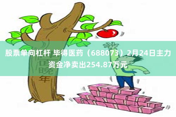 股票单向杠杆 毕得医药（688073）2月24日主力资金净卖出254.87万元