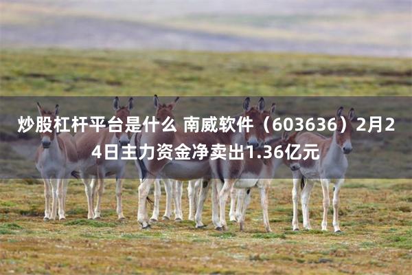 炒股杠杆平台是什么 南威软件（603636）2月24日主力资金净卖出1.36亿元