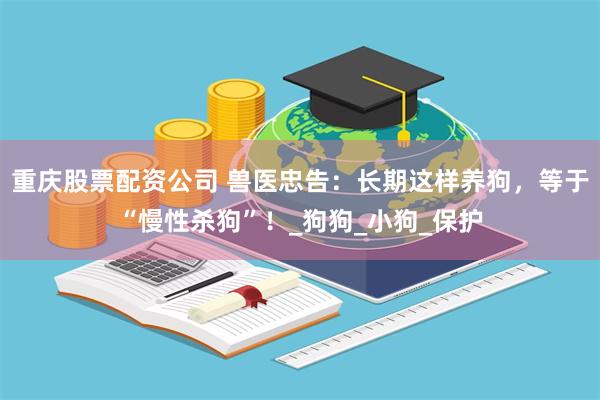 重庆股票配资公司 兽医忠告：长期这样养狗，等于“慢性杀狗”！_狗狗_小狗_保护