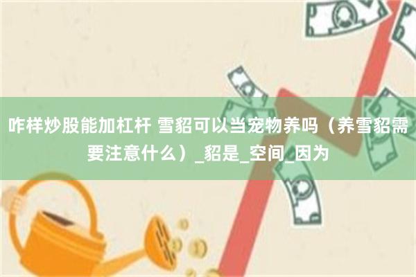 咋样炒股能加杠杆 雪貂可以当宠物养吗（养雪貂需要注意什么）_貂是_空间_因为