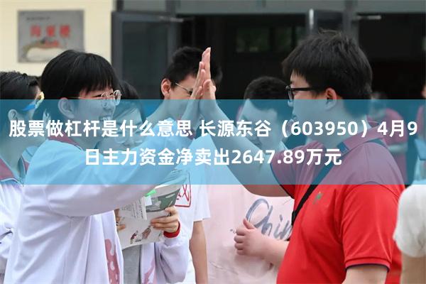 股票做杠杆是什么意思 长源东谷（603950）4月9日主力资金净卖出2647.89万元