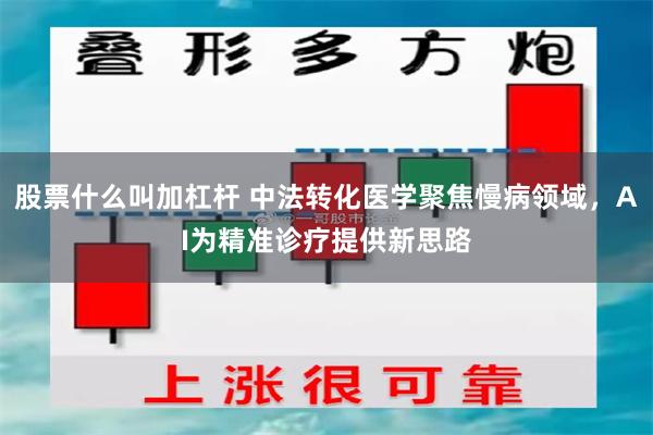 股票什么叫加杠杆 中法转化医学聚焦慢病领域，AI为精准诊疗提供新思路