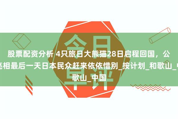 股票配资分析 4只旅日大熊猫28日启程回国，公开亮相最后一天日本民众赶来依依惜别_按计划_和歌山_中国