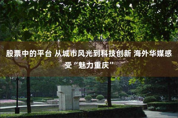 股票中的平台 从城市风光到科技创新 海外华媒感受“魅力重庆”