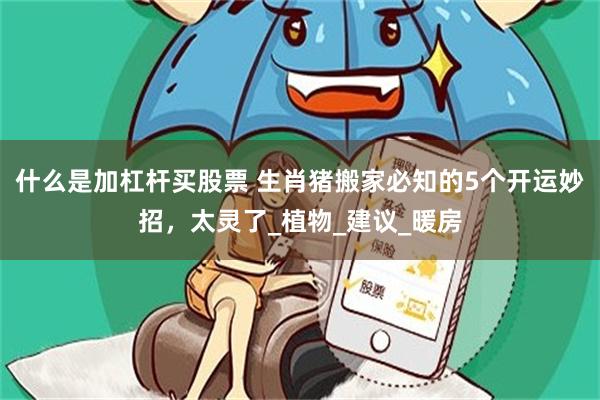什么是加杠杆买股票 生肖猪搬家必知的5个开运妙招，太灵了_植物_建议_暖房