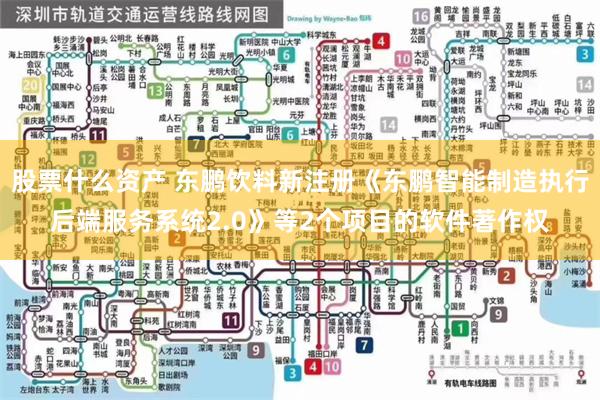 股票什么资产 东鹏饮料新注册《东鹏智能制造执行后端服务系统2.0》等2个项目的软件著作权