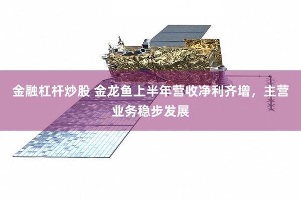 金融杠杆炒股 金龙鱼上半年营收净利齐增，主营业务稳步发展
