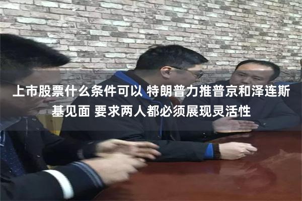 上市股票什么条件可以 特朗普力推普京和泽连斯基见面 要求两人都必须展现灵活性